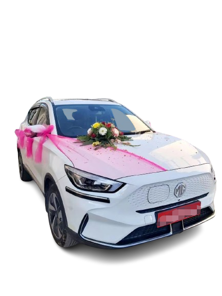 Car - Nepal Travel Experience 18